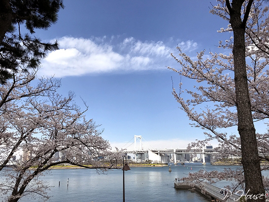 s-19040399 copy