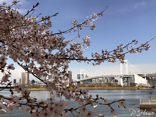 s-19040396 copy