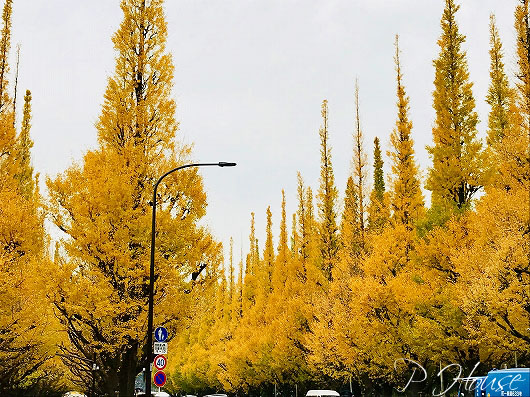 s-17112391 copy