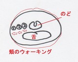 massage14