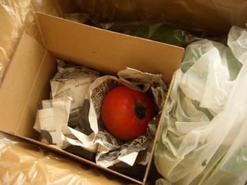 有機野菜を中心としたクールベジ(夏野菜)セット トマト
