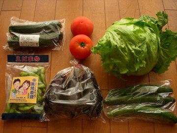 有機野菜を中心としたクールベジ(夏野菜)セット