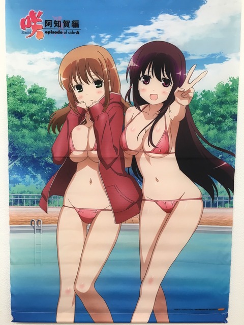 タペストリー (14)