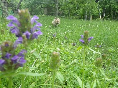 2017_0702_174115-IMGP5970