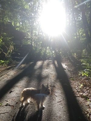 2017_0616_183640-IMGP5952