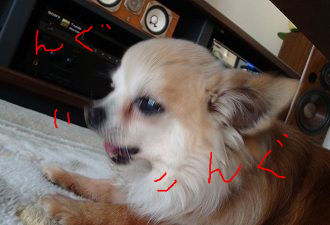 BlogPaint