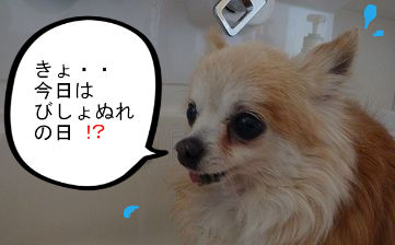 BlogPaint