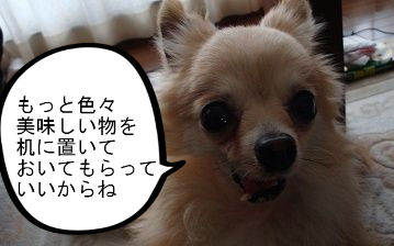 BlogPaint