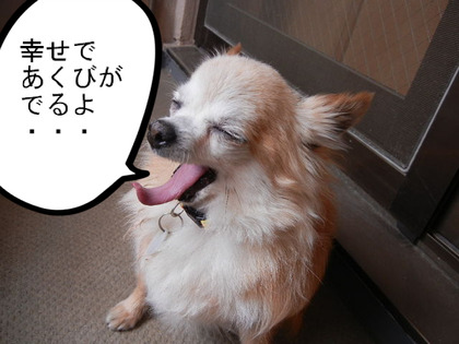 BlogPaint