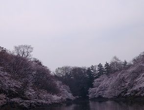 s-DSC01307