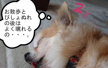 BlogPaint