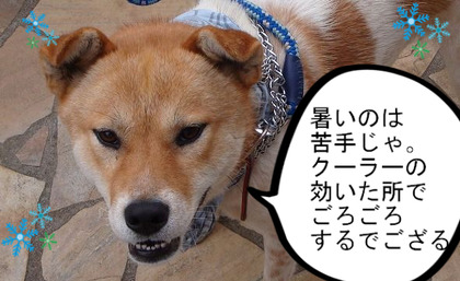 BlogPaint