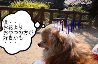 BlogPaint