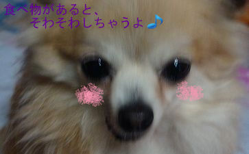 BlogPaint