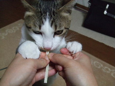 もぐもぐ