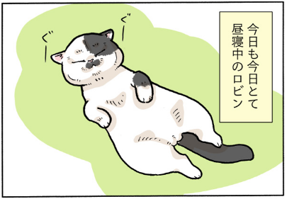 スクリーンショット 2018-09-26 23.07.19