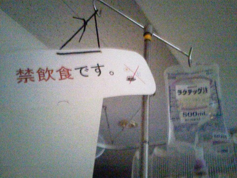 NEC_0564
