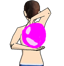 バランスボール背中