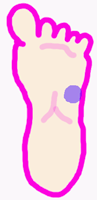 足つぼ