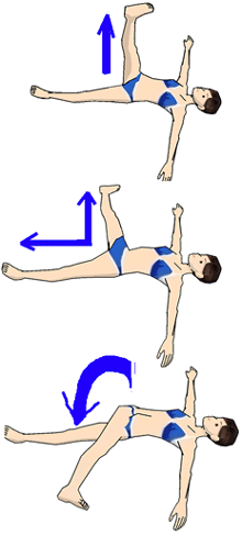 Æâ¤â¤âÁ餻