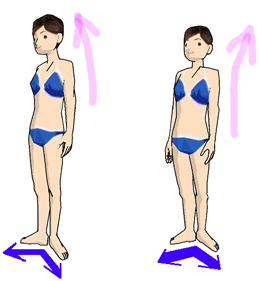 モデルダイエットヒップアップ