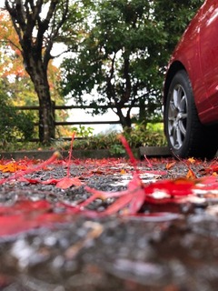 IMG_0112
