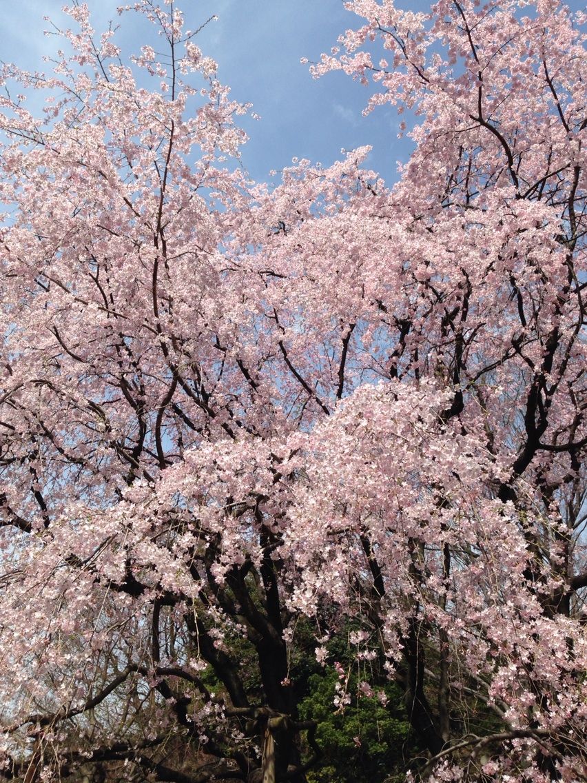 2014-03-29-10-51-25