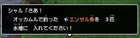 エンゼル魚を入れる