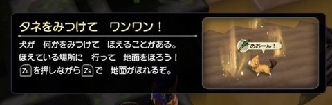 タネをみつける犬