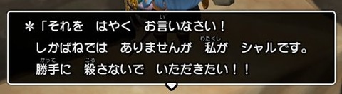 やっぱりシャル