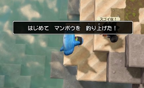 マンボウ釣れた