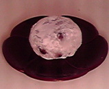 b0dceb18.jpg