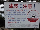 DSC00100