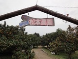 DSC00114