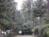DSC00098
