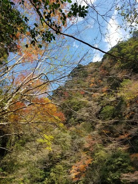 20171123_104543