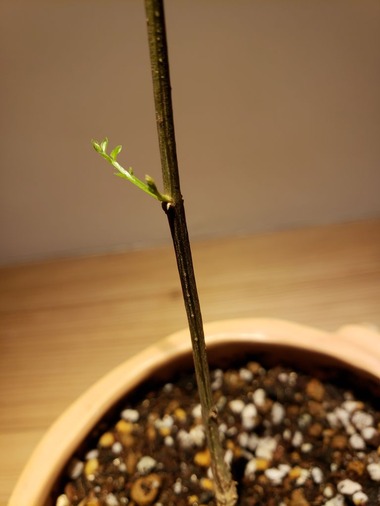 20190319_074010
