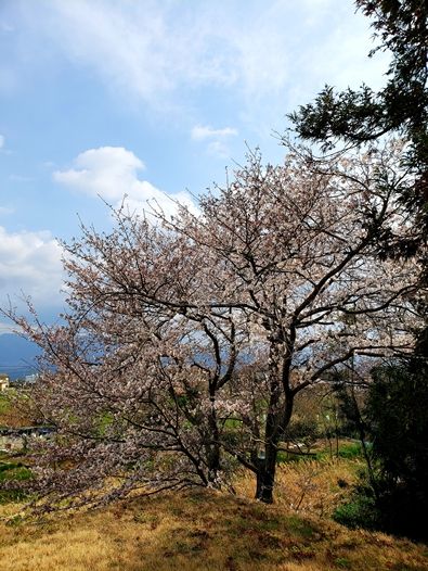 20190331_160418