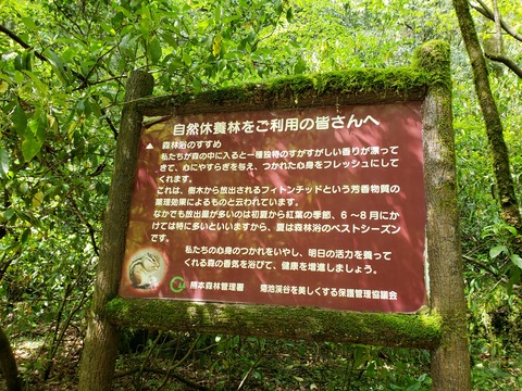 20190502_143412