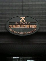 博物館