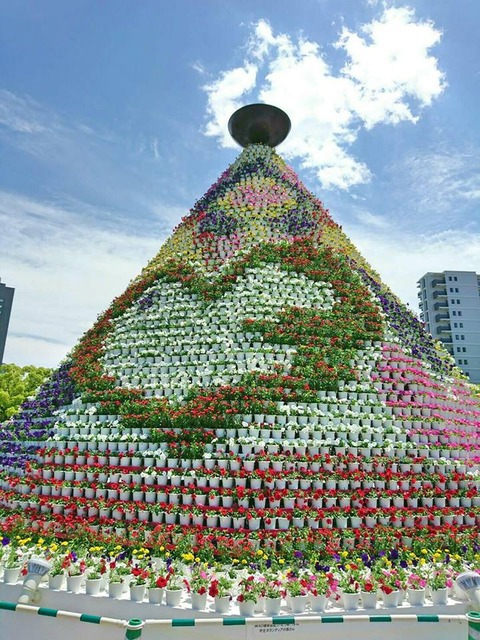 31522151_10204879084612466_3176963136775258112_n