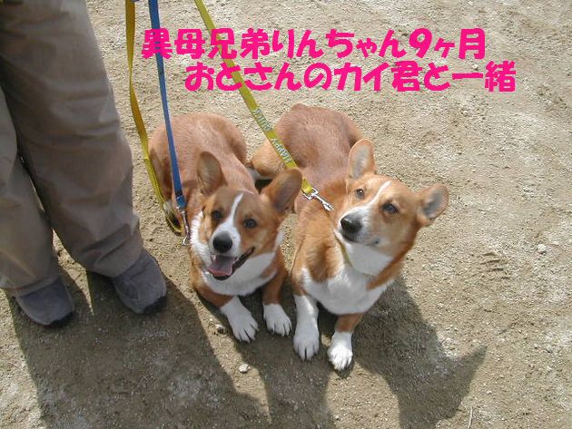 DSCN1819