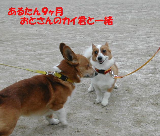 DSCN1826