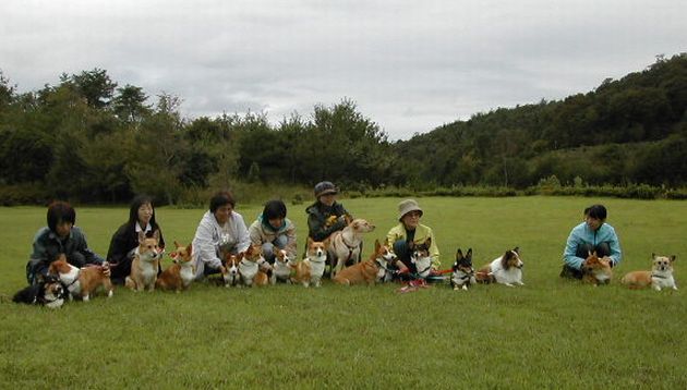 DSCN1501