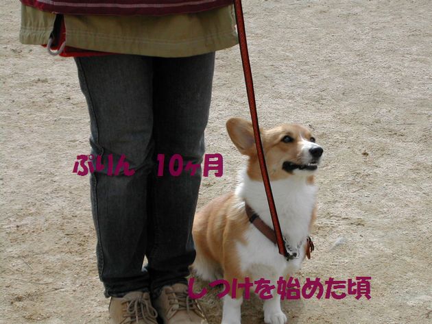 DSCN0384