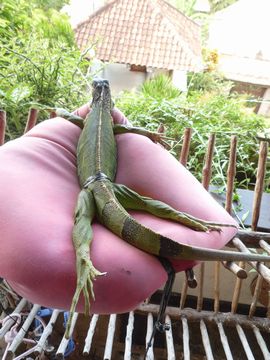���������ۡ��襬�����ݡ��ġ���������