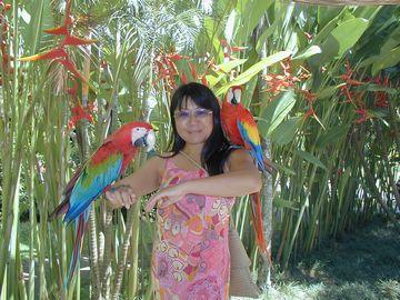�С��ɥѡ����������ࡡĻ���Х��硡����ɥͥ���