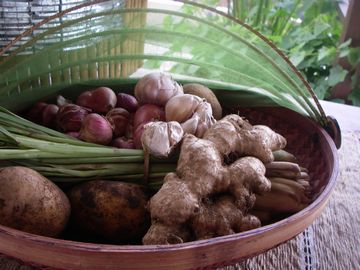 �Х��硡�Х�������������ڡ����ࡡ