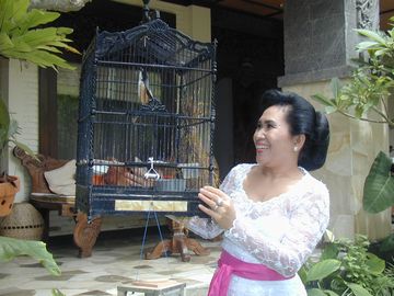 �ڥåȡ��Х��硡�ҡ���󥰡������ǥ󡡥��֥�