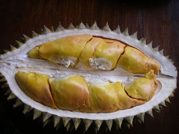 �ɥꥢ�󡡥ե롼�ġ��Х��硡���֥ɡ�����ɥͥ���